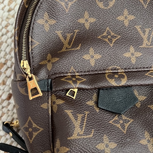 Louis Vuitton, Palm Springs Mini backpack - Picture 9 of 12